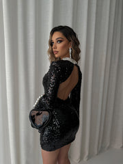 Embellished Collar Mini Dress