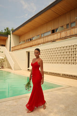 Crush Mesh Maxi Dress