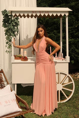 Blush Glamour Evening Gown